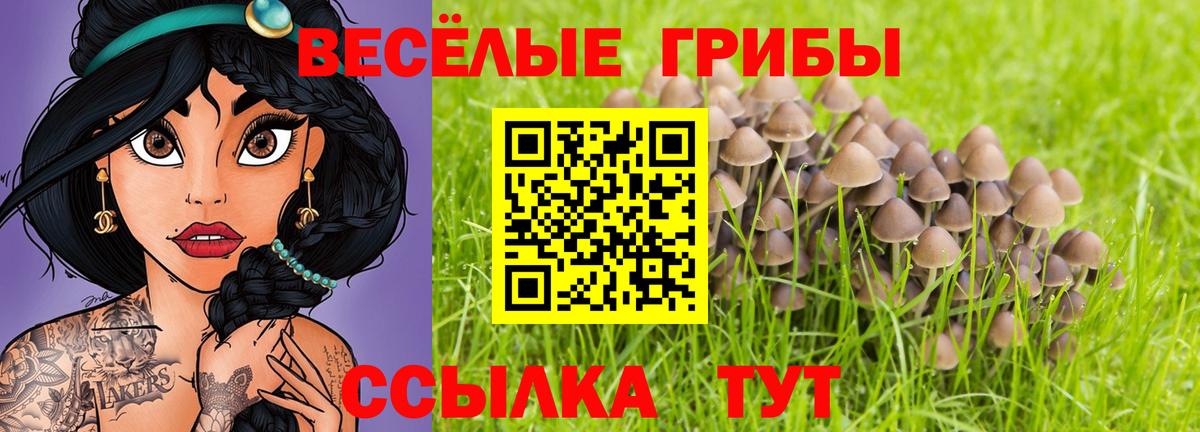 Галлюциногенные грибы Magic Shrooms  Вход с VPN  Серов 