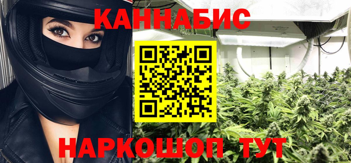 Каннабис семена  Вход с VPN  Бошки Шишки семена  Серов 